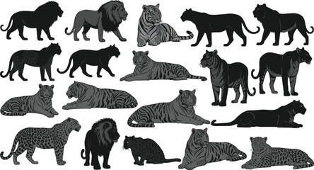 Set of wild big cats including lions, tigers, panthers, jaguars in various poses, silhouette and detailed illustration collection