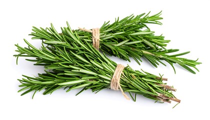 Two sprigs of fresh rosemary tied with twine