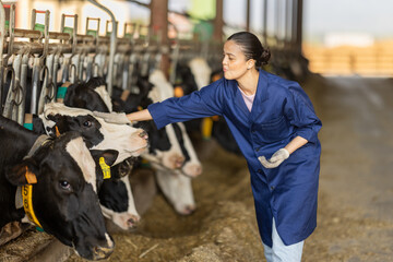 Kind middle-aged female farmer checking caws at cattle-breeding farm in countryside