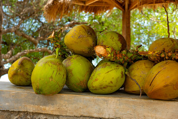 Pile of green coconuts on a stone ledge