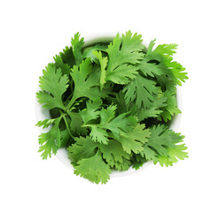 Aromatic cilantro in bowl isolated on white, top view