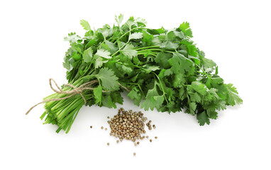 Fresh cilantro and coriander seeds isolated on white