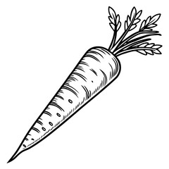 A hand-drawn vector illustration of a fresh carrot with green parsley and an apple, isolated on a white background