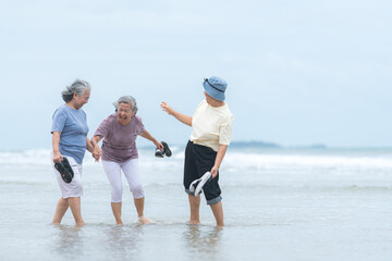 Happy senior women enjoying a playful walk on the beach, laughing and holding hands
