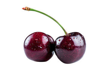 fresh cherries with water drops on transparent background