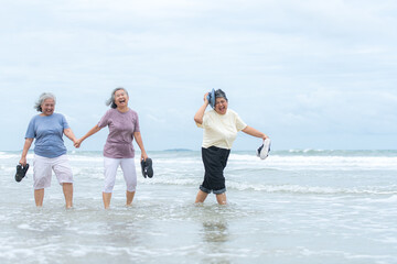 Happy senior women enjoying a playful walk on the beach, laughing and holding hands