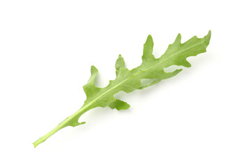 Fresh ripe green arugula leaf isolated on white, above view