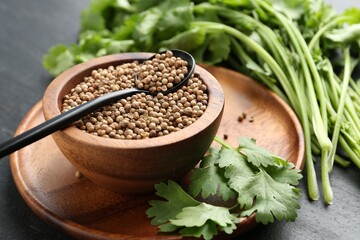 Coriander seeds in bowl, spoon and fresh cilantro leaves on dark textured table, closeup