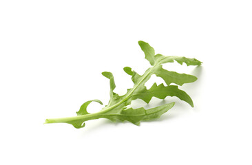 Fresh ripe green arugula leaf isolated on white