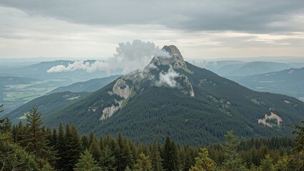 Wide view of the expansive Arber peak