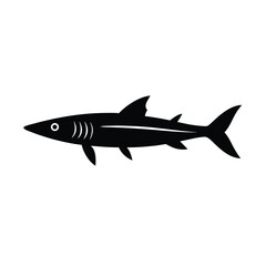 Distinctive silhouette of a barracuda