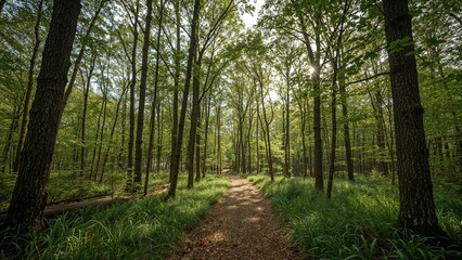 Obraz premium Exterior wildlife sanctuaries