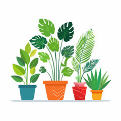 Green plant in decorative pot with lush leaves and isolated background