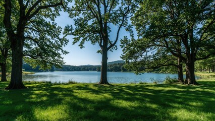 Tranquil park area with a lovely lake view