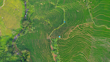 Aerial view of terraced paddy fields in Majalengka, Indonesia, showcasing vibrant green terraces, a winding river, and scattered huts amidst the verdant landscape.