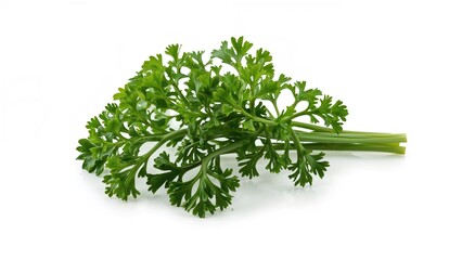Parsley herb displayed on a solid white background