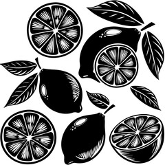 Stylized black and white lemon illustrations collection