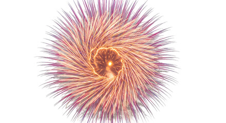 Abstract floral design with radiating, fiery lines.