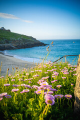 Cornwall England sea cliffs