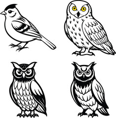 Set of Birds  Democratic Republic of the Congo and Birds, Bird Icons


