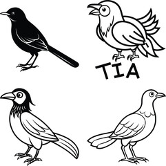 Set of Birds  Democratic Republic of the Congo and Birds, Bird Icons


