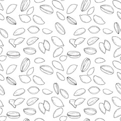 A delicate hand drawn pattern of various seeds and grains for artistic projects