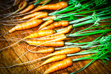 Freshly harvested baby carrots, complete with their vibrant green tops and delicate roots, are laid...