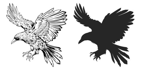 Black crow silhouette vector