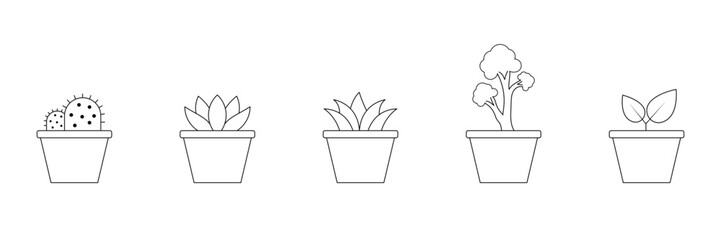 Botanical plant icon set with potted succulent tree and foliage outline for nature concept vector illustration in royalty free style.