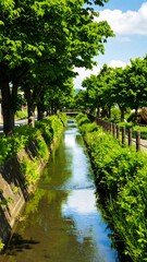 Fototapeta premium Canal lined with trees