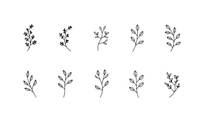 Minimal leafy branches sketched with thin lines and natural shapes. This soft collection suits eco-branding, stationery, or repeating patterns where subtle detail is key to organic design flow.