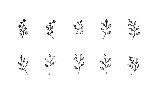 Minimal leafy branches sketched with thin lines and natural shapes. This soft collection suits eco-branding, stationery, or repeating patterns where subtle detail is key to organic design flow.