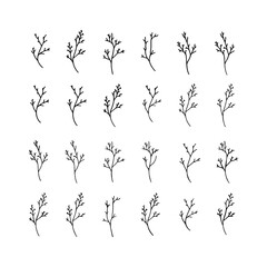 Hand-Drawn Botanical Stems. Simple botanical stems drawn in minimal linework with natural flow.