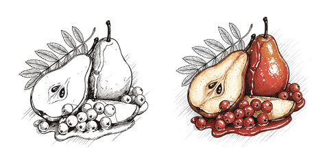 Caramelized Pears with Rowanberry Sauce Vector Duo. Monochrome outline and color versions. Gourmet autumn dessert, elegant presentation concept. For food blogs, cookbooks, fine dining menus