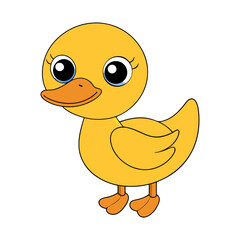 Fototapeta premium Duck