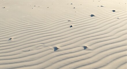 Sand texture with soft wind patterns and sunlight highlights