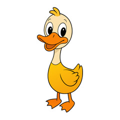 Fototapeta premium Duck