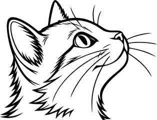 cat outline vector 