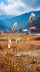 Fototapeta premium Golden Hour Scene with Tall Grasses Swaying Against Mountain Ranges and Dramatic Skies