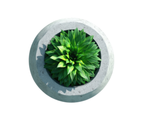 Overhead view of a light gray concrete planter, holding a vibrant green plant