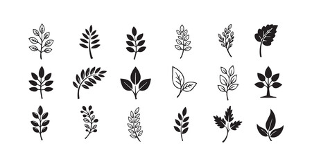 Eco Friendly Plant Vectors for Nature Design Projects