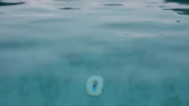 Still Raindrop Splash-Down Images – Browse 35 Stock Photos, Vectors, and Video | Adobe ...