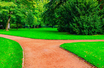 Road in the park 