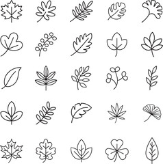 Collection of simple line art drawings of various leaves and plants