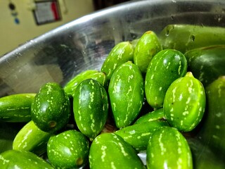 Group of fresh ivy gourds (Coccinia grandis) placed together on a clean white background. Tropical vegetable commonly used in Indian and Southeast Asian cuisine.