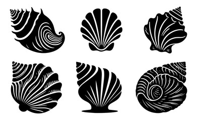 Black silhouette of  tropical beach seashells on a white background