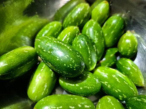 Group of fresh ivy gourds (Coccinia grandis) placed together on a clean white background. Tropical vegetable commonly used in Indian and Southeast Asian cuisine.