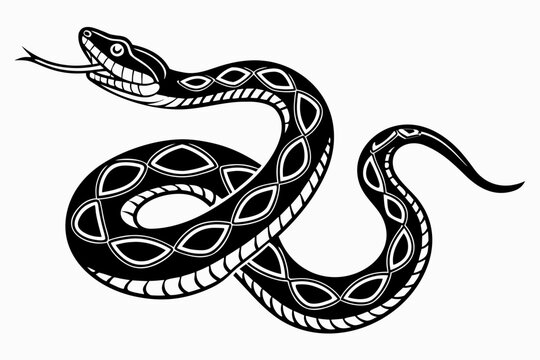 python sihouette black vector