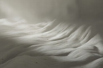 Fototapeta premium Textured white waves in soft light abstract shadow
