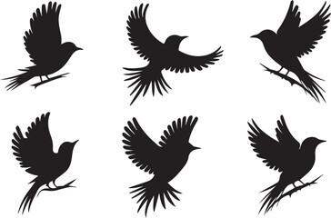 Obraz premium A Set Of 6 Black Birds Silhouettes 